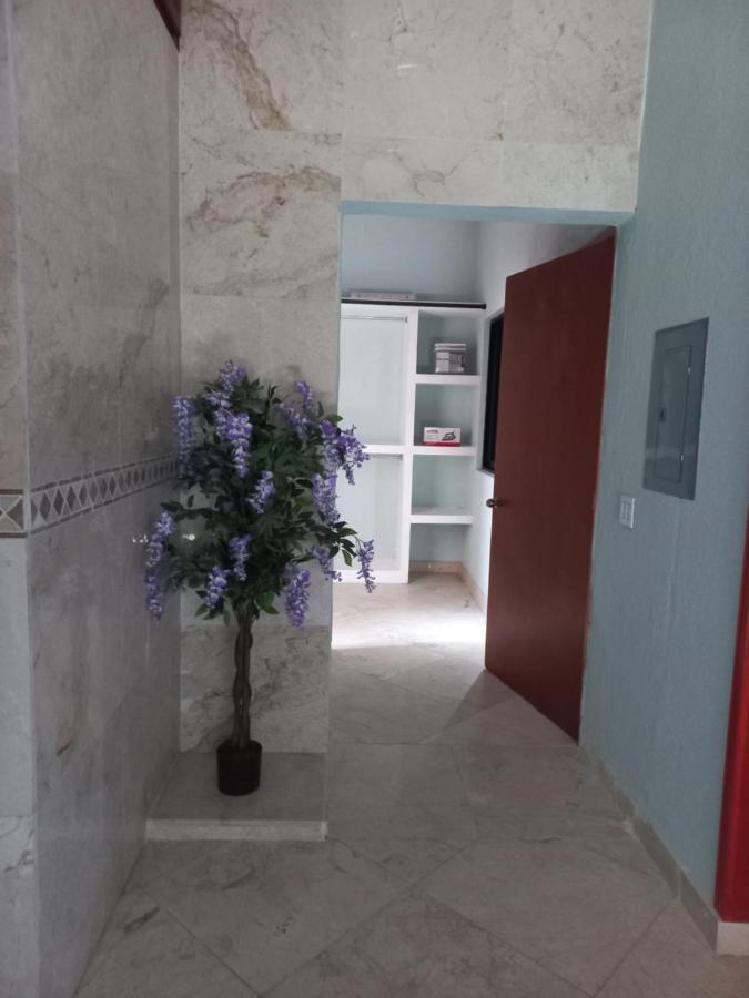 Departamento Tayde Apartment San Jose del Cabo Bagian luar foto